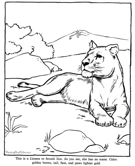 Simple Zoo Animal Coloring Pages Animals Coloring Pages Are Pictures