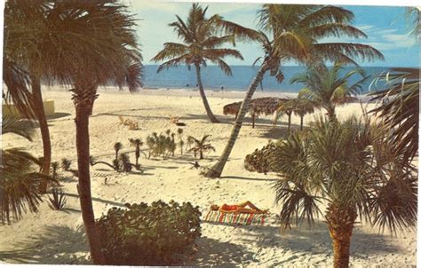 Vintage Florida Postcard Beach Scene Relaxing On The Beach Etsy