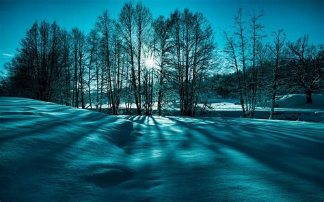 Landscape Snow Trees Winter Nature 1920 X 1200