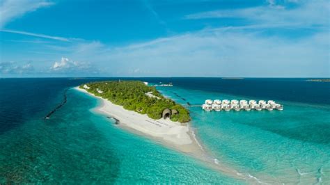 Dhigali Maldives Raa Maamigili Alle Infos Zum Hotel
