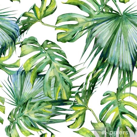Papier Peint Illustration Aquarelle Transparente De Feuilles Tropicales