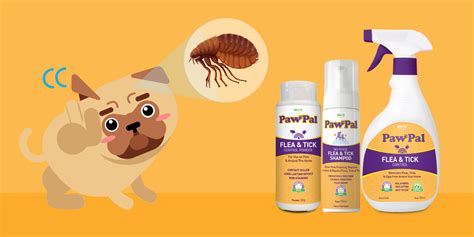 Flea And Tick Control Powder Pawpal Malaysias 1 Pet Care Brand