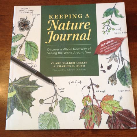 Keeping A Nature Journal A Review The Curriculum Choice