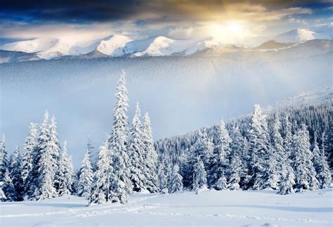 Hd Wallpaper Nature Winter Mountain Christmas Tree Snow Sun Rays