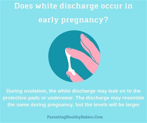 Discharge In Early Pregnancy