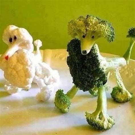 Broccoli Dog Set The Table Pinterest