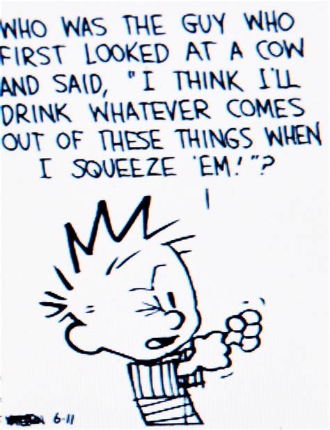 Calvin And Hobbes Funny Quotes Mcgill Ville