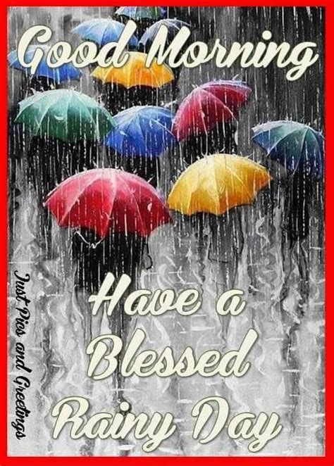 Good Morning Have A Blessed Rainy Day Pictures Photos And Images For