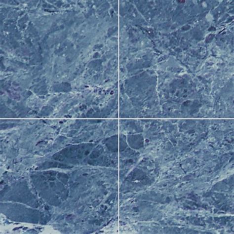 Royal Blue Marble Tile Texture Seamless 14160