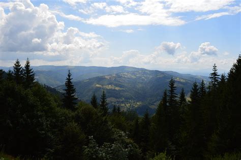 Alpina Blazna Muntii Rodnei Romania Mountains Natural Landmarks