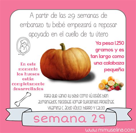 Crecimiento, alimentación, sueño, salud, cuidados y bienestar psicofísico. Semana 29 embarazo. Tamaño y evolución del bebé @mimuselina - mimuselina blog