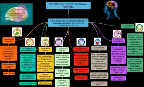 Mapa Conceptual De Inteligencias Múltiples De Gardner Una Guía