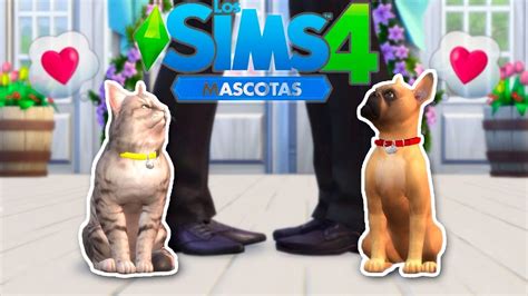 Reaccionando Al Pack De ExpansiÓn Perros Y Gatos Los Sims 4 Youtube