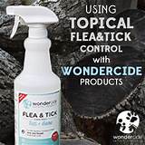 Organic Flea And Tick Control For Cats Pictures