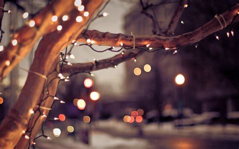 Bokeh Trees Lights Holidays Sparkle Roads Macro Close Up