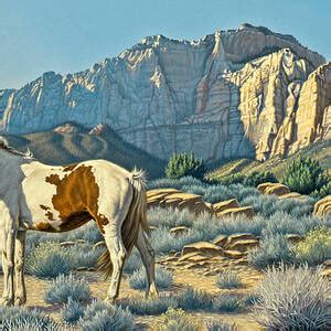 Pinto Mare And Colt Painting By Paul Krapf Fine Art America