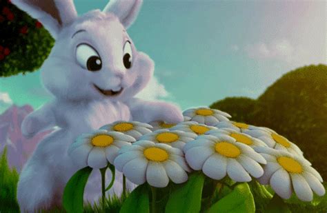 Easter Bunny And Daisies Happy Easter  Funny Easter Pictures Happy