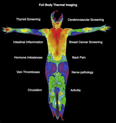 Thermography Wellness Within