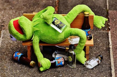Kermit Frog Drink Alcohol Drunk Bank Rest Sit Figure Funny