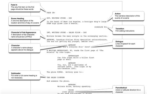 How To Format A Screenplay A Guide On Script Writing