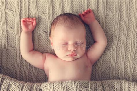 Sleeping Newborn Baby Stock Photo Image Of Little Beautiful 66519336