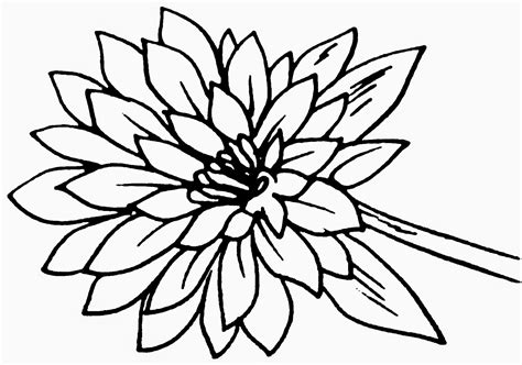 Gambar bunga kartun hitam putih untuk mewarna aneka gambar gambar via : Dunia Sekolah: Gambar Hitam Putih (Drawing) - Bunga & Pokok