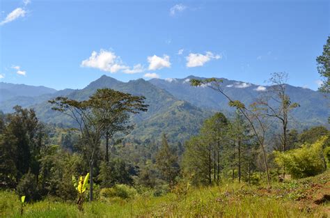 It comprises the western half of the island of new guinea, the world's largest and highest tropical island, while the eastern half is the independent country of papua new guinea. Papua New Guinea - Wikiwand