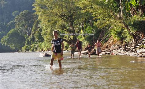 Sungai Kapuas Hulu Matalunai Putussibau Indonesia Travel Bombastic Borneo
