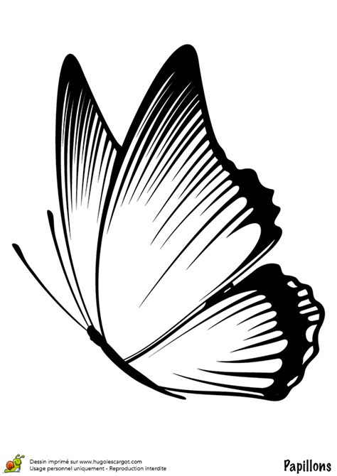 Coloriage Papillon Profil Simple Sur Hugolescargot Com
