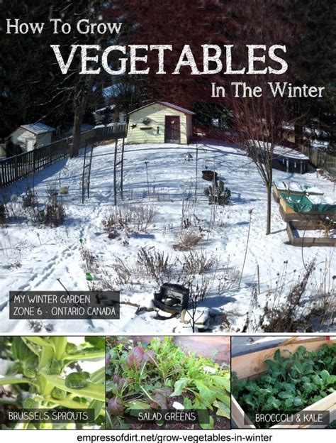 Growing A Vegetable Garden Throughout The Winter Home And Garden