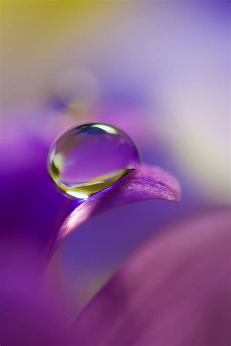 Pin By 956 On Things I Love Water Drop Photography Water Art