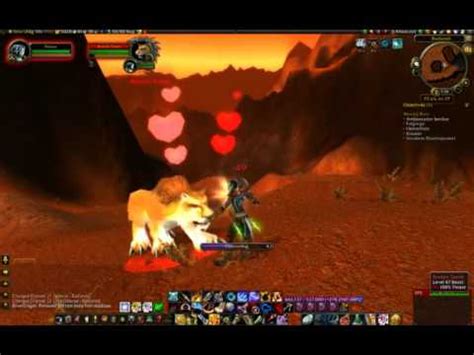 Broken Tooth Tame - Rare Cat in Badlands - YouTube