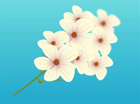 White Flowers Vector Vector Art And Graphics