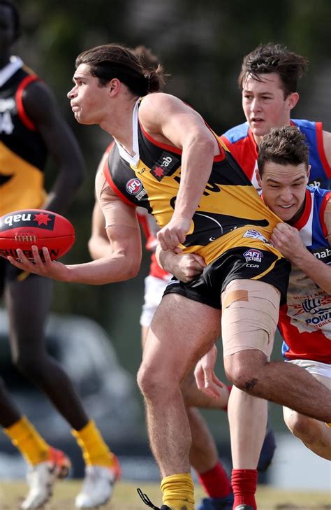 Casey Demons Sign Nine Players From Nab League Herald Sun