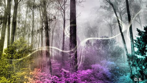Enchanted Forest Wallpapers Hd Pixelstalknet