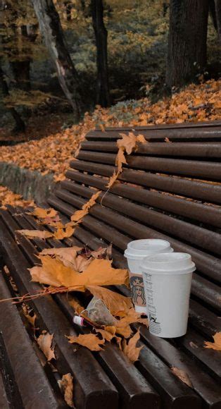 Capturing The Aesthetics Of The Fall Season Coffee In The Park 1
