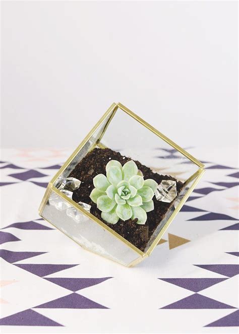 Hira Glass Geometric Terrarium Floral Container In Gold 3 5 Tall Floral Container Diy