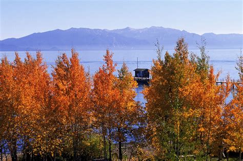 The Best Places To See Fall Foliage In Lake Tahoe