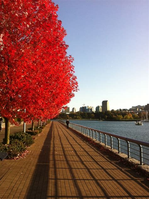 Vancouver In The Fall