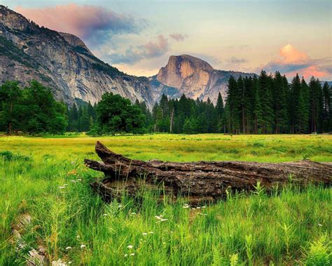 Yosemite National Park Valley In California Usa Mountains Forests Grass