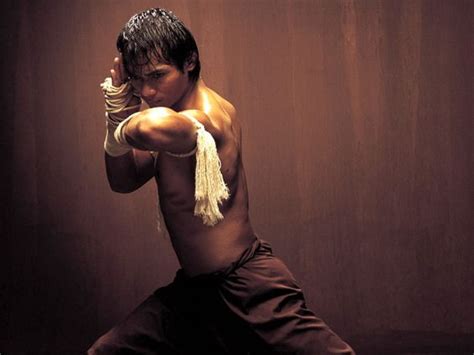 Top 10 Martial Artist Actors Of All Time Fighterandfitness