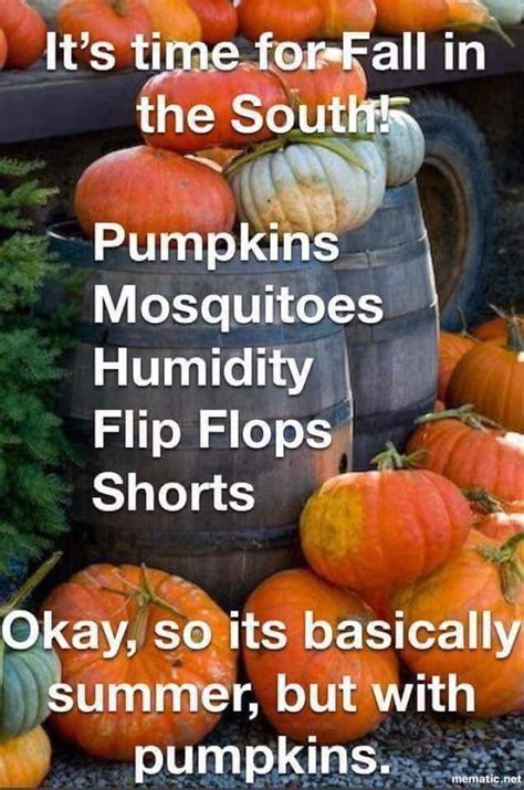 First Day Of Fall Funny Quotes Shortquotescc
