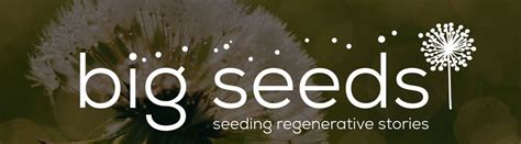 Big Seeds Seeding Regenerative Stories In Life And Death