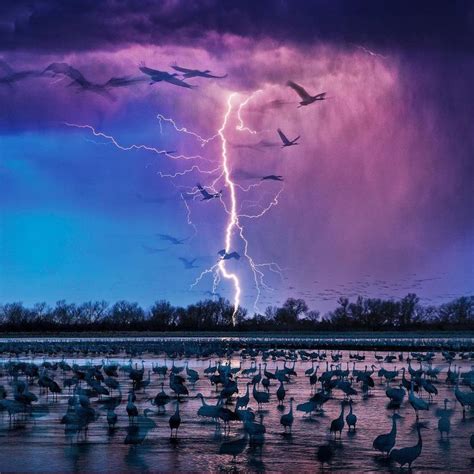 19 Real Life Moments That Are Truly Breathtaking Wow Gallery Nature Pictures In This