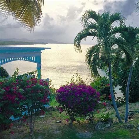 Bungalows On The Bay St Croix Luxury Ocean View Cottage Villa