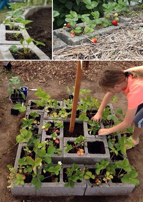 Diy Saving Space Ideas For Growing Strawberries