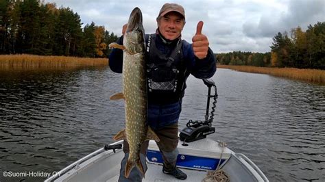 Big Pike Fishing Finland In October