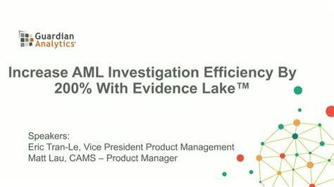 Increase Aml Investigation Efficiency By 200 With An Aml Evidence Lake™
