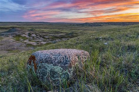 Prairie Grasslands Stock Photos Royalty Free Images Focused