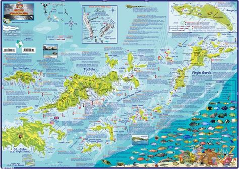 British Virgin Islands Bvi Dive And Guide Map Laminated Poster Frankos Maps